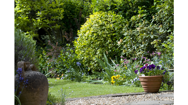 Cottage garden