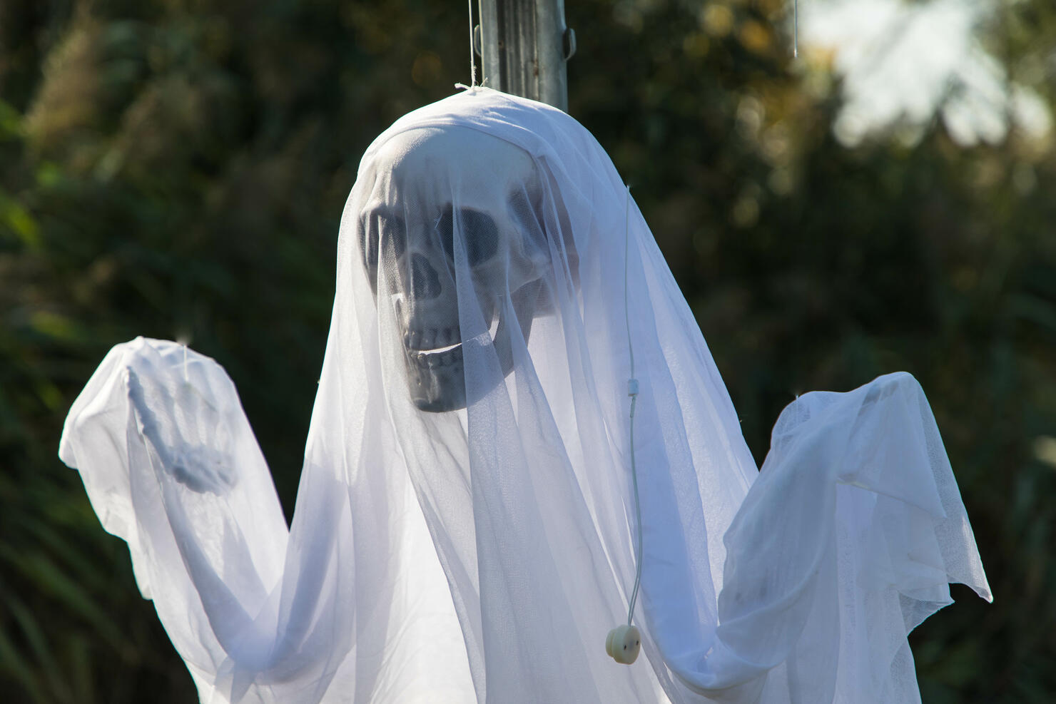 A ghost with a skull