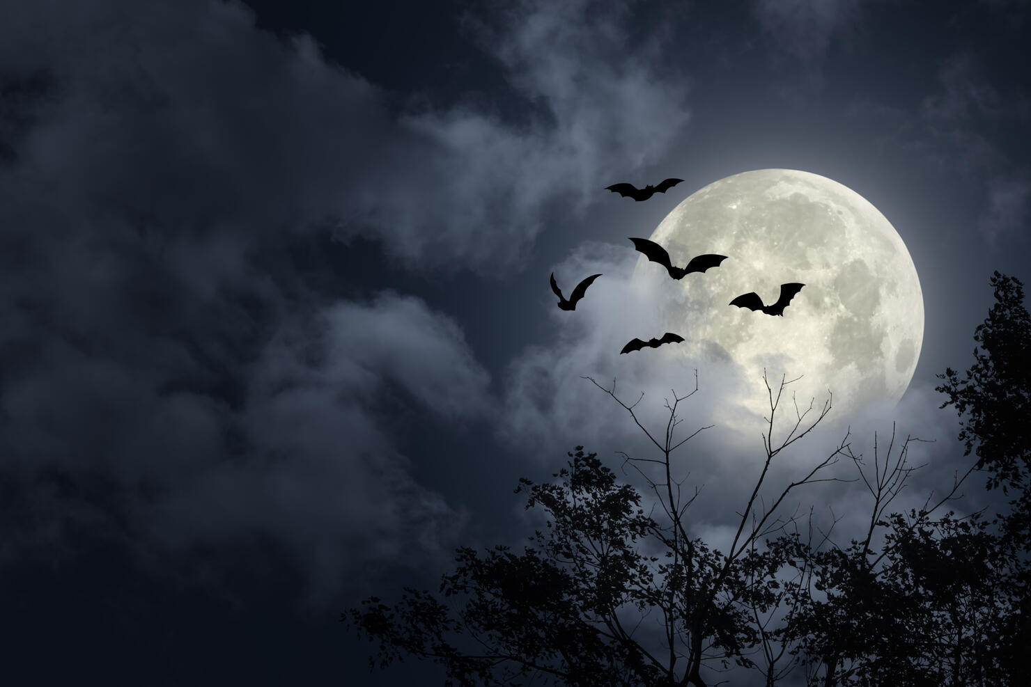 Spooky Halloween Sky