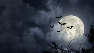 (Almost) Full Moon Open Lines