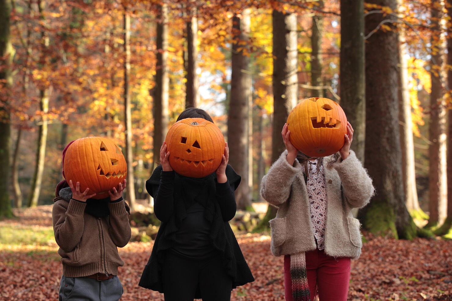 Children covering their faces with carved pumpkins.