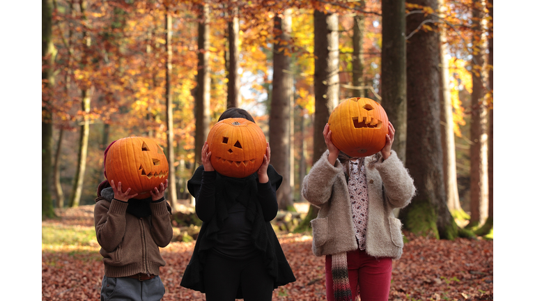 Children covering their faces with carved pumpkins.