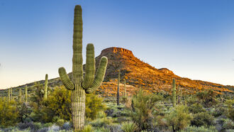 Open Lines Live from Albuquerque