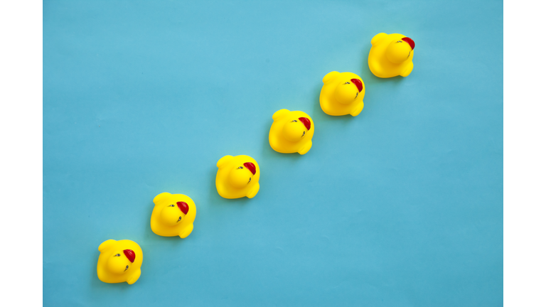 Rubber ducks in a line