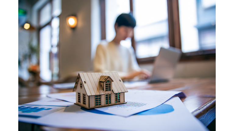 Real Estate Agent Working On Laptop