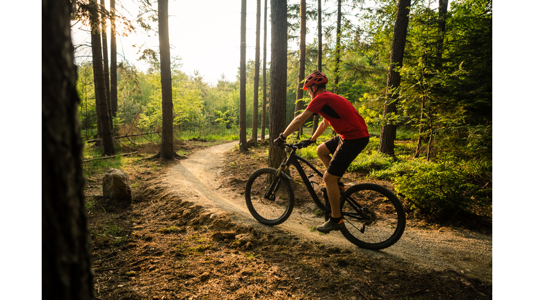 Mountain biker riding cycling in summer forest