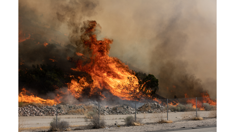 View Of Fire Burning Outdoors