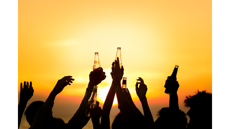 Friends Beach Party Drinks Toast Celebration Concept