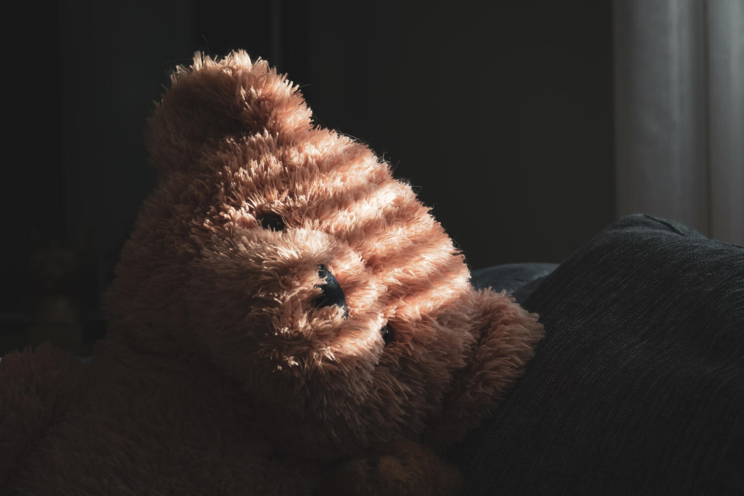 Close-Up Of A Teddy Bear Head