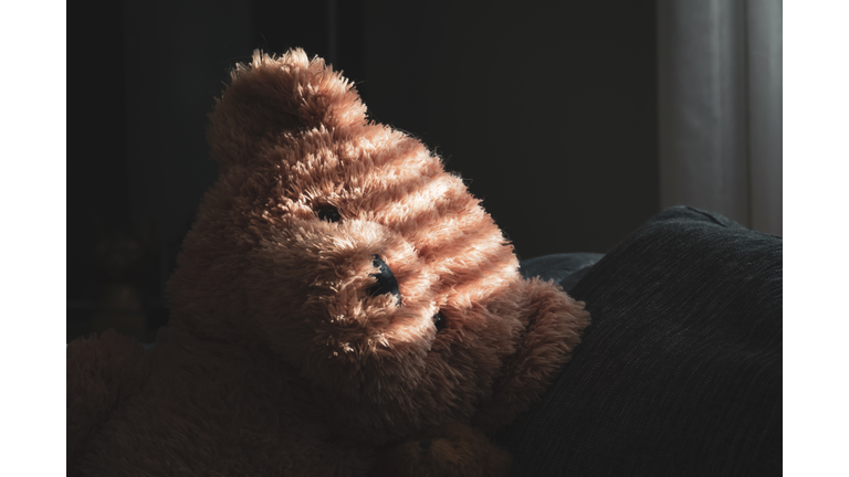 Close-Up Of A Teddy Bear Head