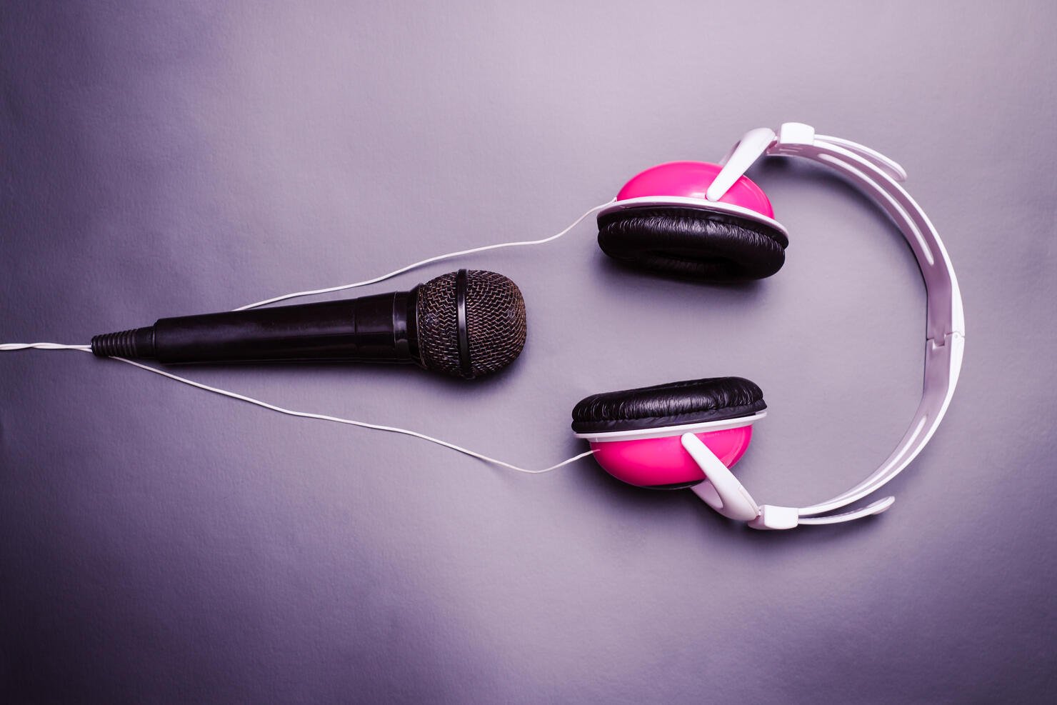 Microphone and headphone