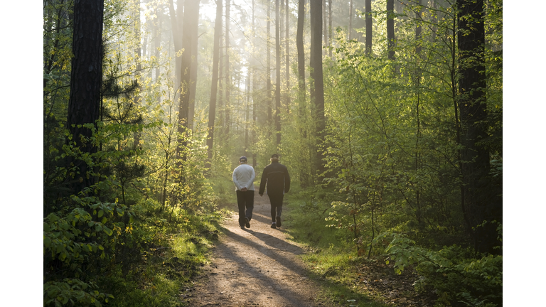 two people at Morning walk in forest