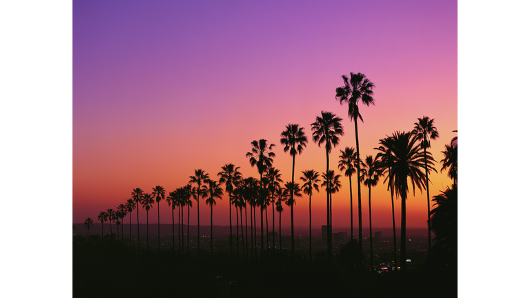 Los Angeles at Twilight