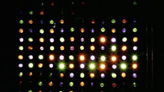 Heart Consciousness / Telepathy & Precognition