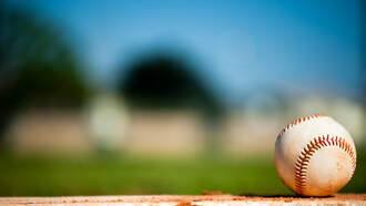 “You Want To Argue Balls And Strikes At A Little Leage Game?!?” 