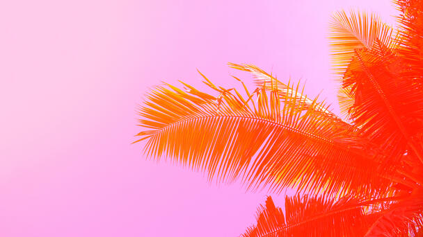 "Bachelor in Paradise" Promo Hints At Exciting New Season