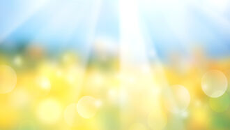 Decrease of Violence