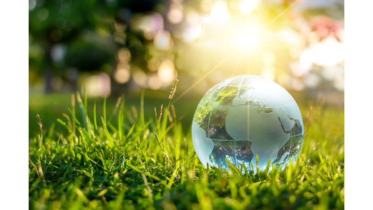 Concept Save the world save environment The world is in the grass of the green bokeh background