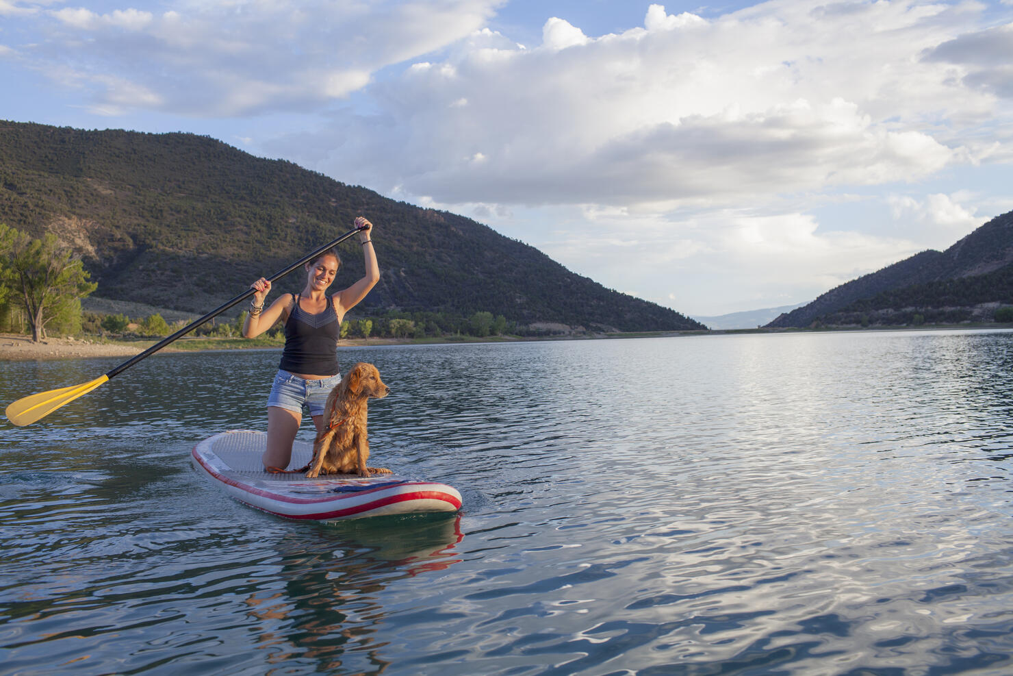 Young woman paddleboarding with puppy on a lake