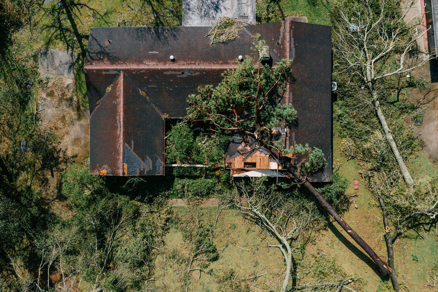 House Damaged By A Fallen Tree