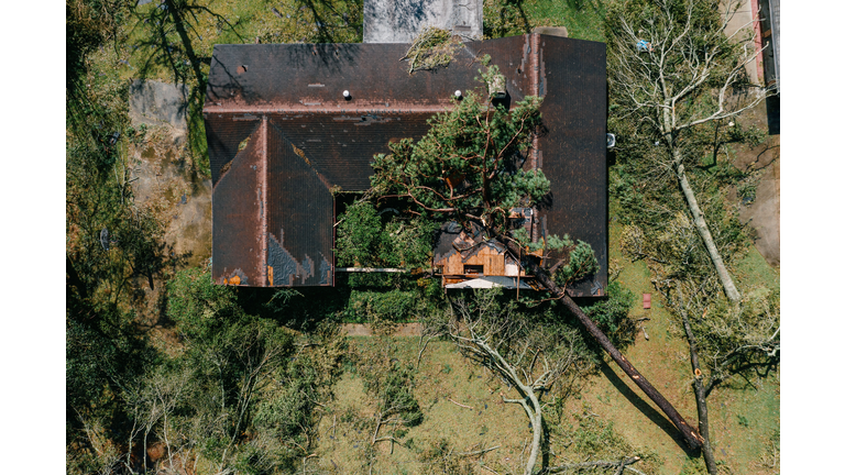 House Damaged By A Fallen Tree