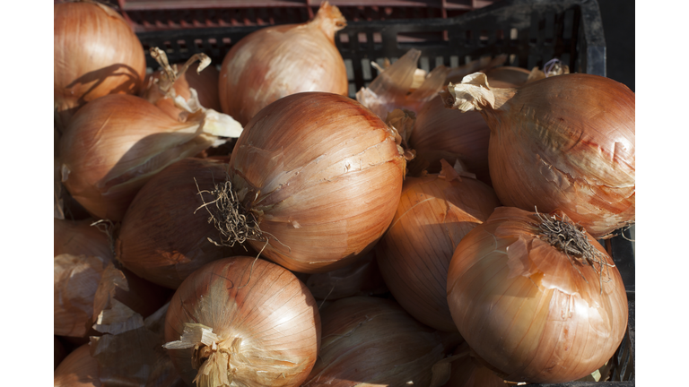 Sweet vidalia onion