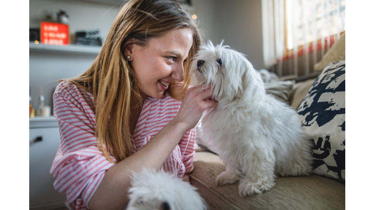 Foster owner bonding with a rescued dog