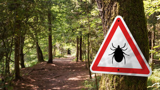 Lyme Disease / Spiritual Communicaton