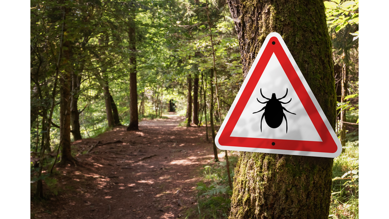 Tick insect warning sign in forest.