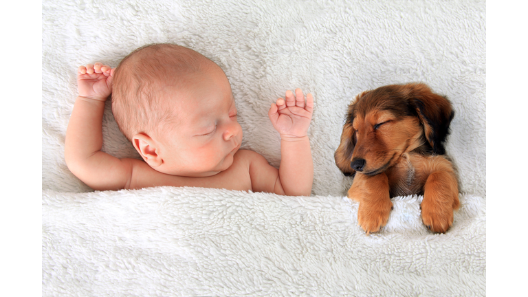 Sleeping baby and puppy