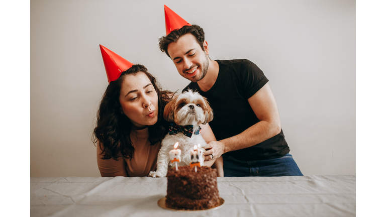 Young adult couple celebrating pet dogs birthday at home with cake,Belo Horizonte,State of Minas Gerais,Brazil