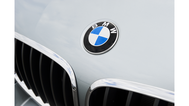 BMW Emblem and Kidney Grille