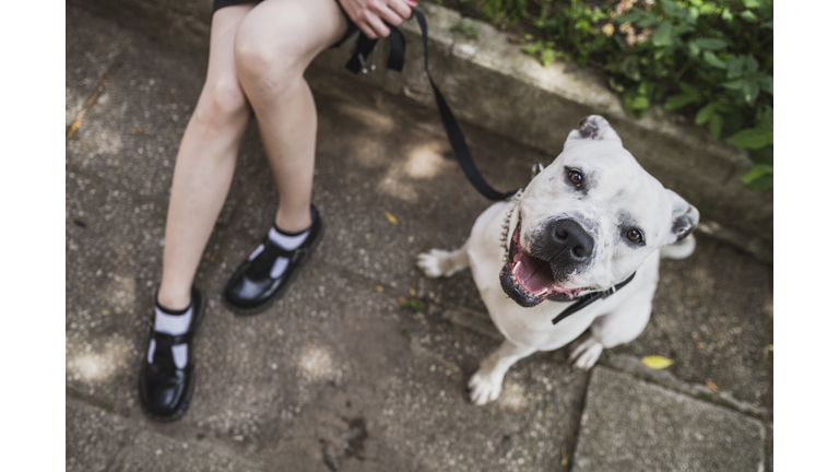 Young punk woman with her dog