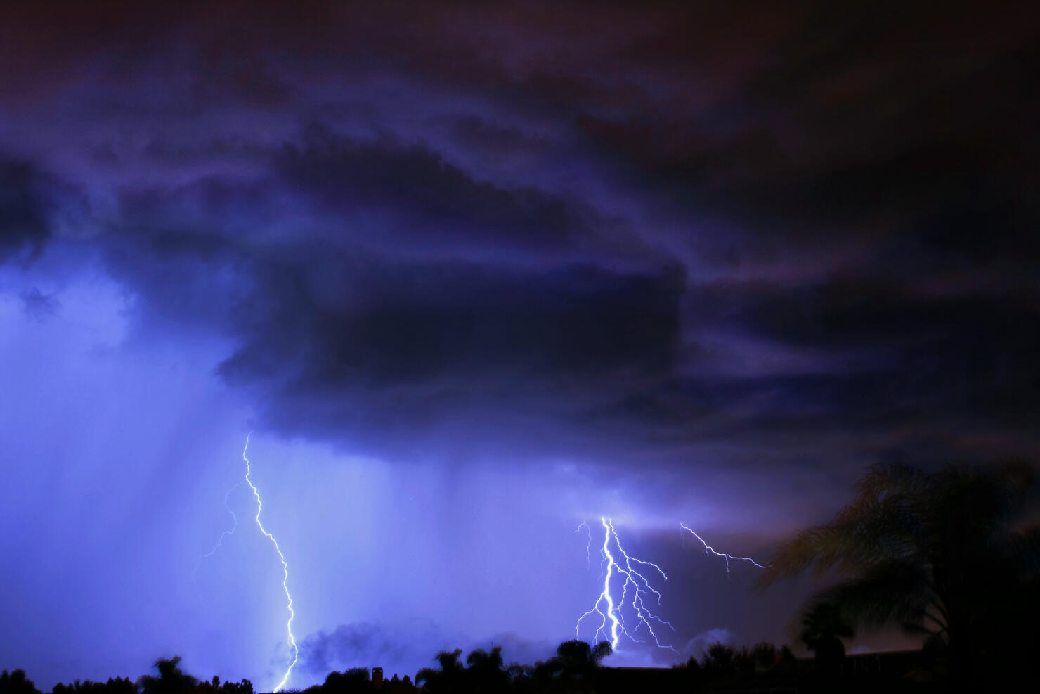 Lightning Bolts With Thunder Storm and Palms