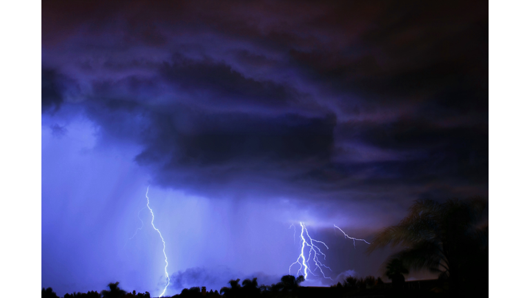 Lightning Bolts With Thunder Storm and Palms