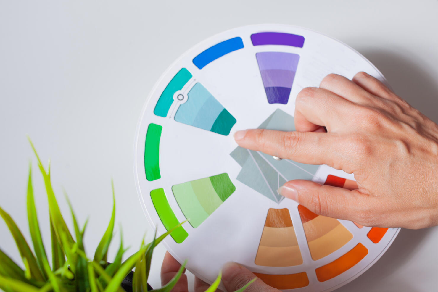 Define your color type. Female hands with neat, concise manicure rotate the color wheel.