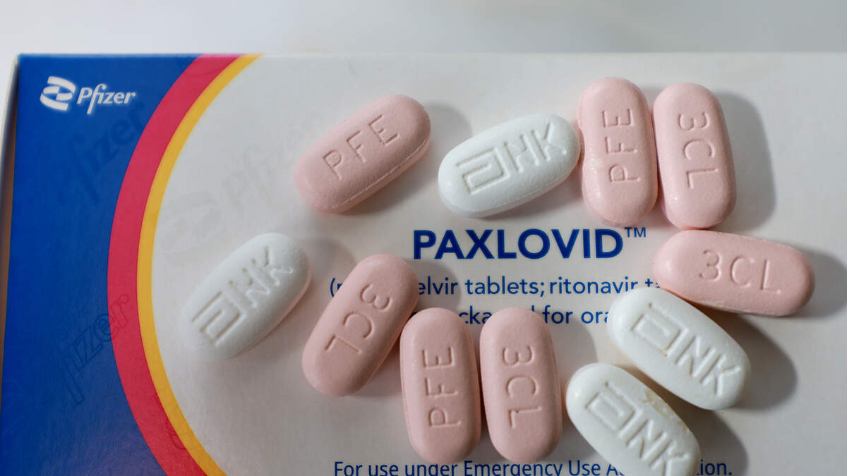 Q&A of the Day The Summer Covid Surge & Pfizer’s New Pills 1290