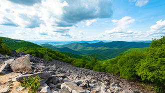 Lifestyle - National Park Service Removes MLK Day And Juneteenth From Free Day List