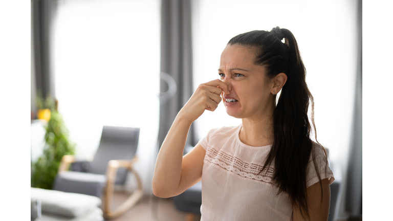 Air Conditioner Bad Odor At Home