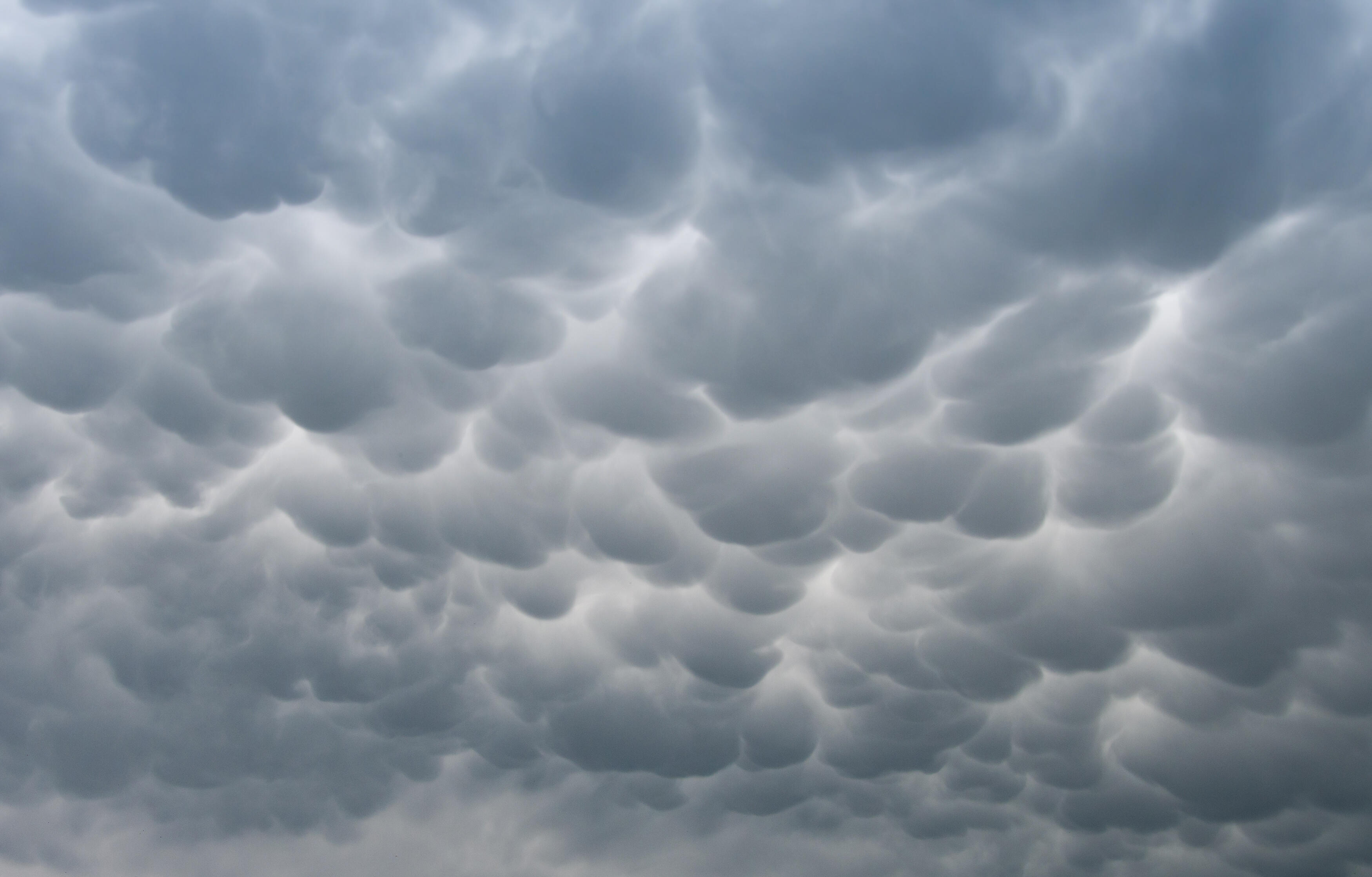 NWS Confirms Five Tornadoes In Louisiana As A Result Of Beryl - Thumbnail Image