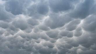 Biomedical Security State / Weather Modification