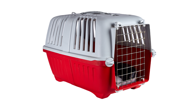 Pet travel plastic cage, isolated on white background