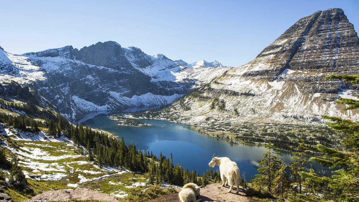 3 People, Including 2 Expert Climbers Found Dead At Glacier National