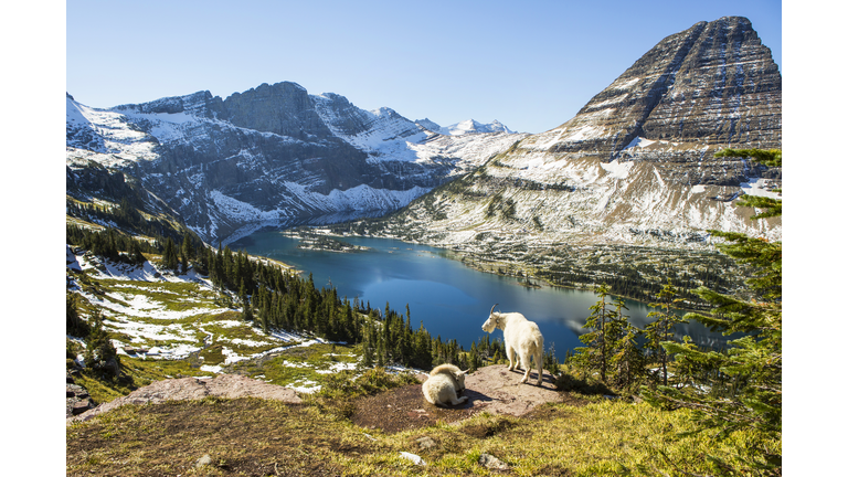 Scenic view of Glacier National Park.