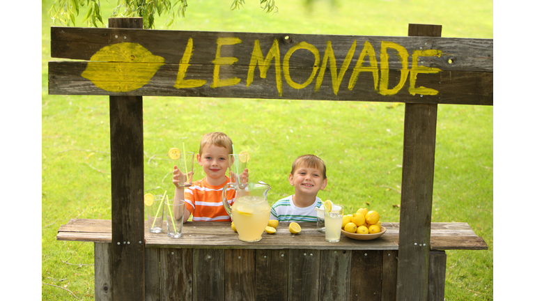 Two young boys at lemonade stand