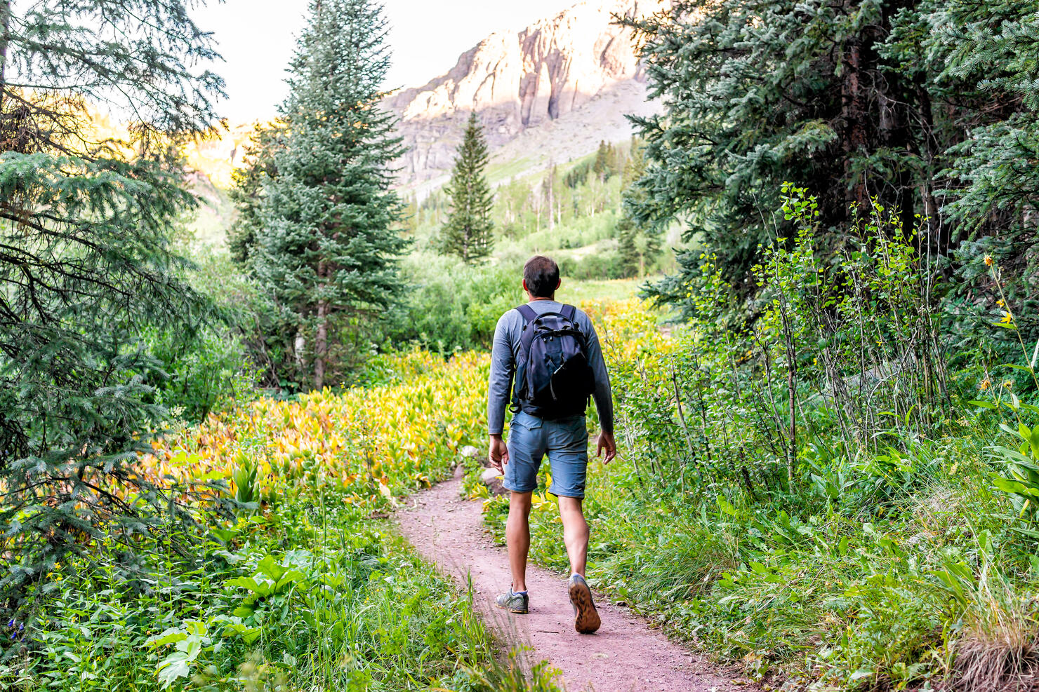 Man backpack walking on trail path to Ice lake in Silverton, Colorado in August 2019 summer morning green valley and false hellebore plants