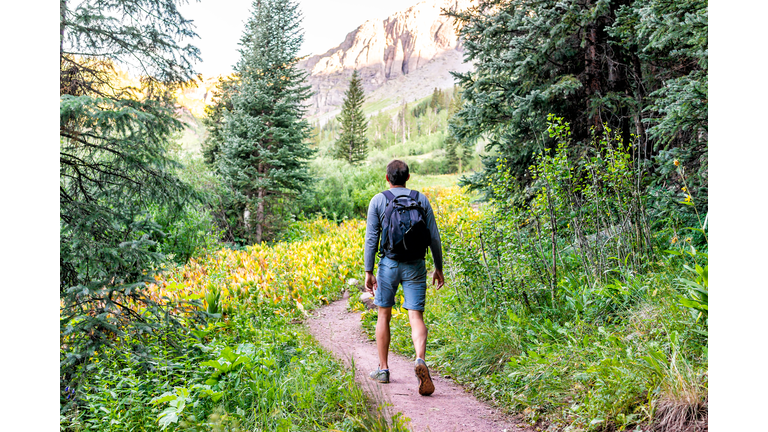 Man backpack walking on trail path to Ice lake in Silverton, Colorado in August 2019 summer morning green valley and false hellebore plants