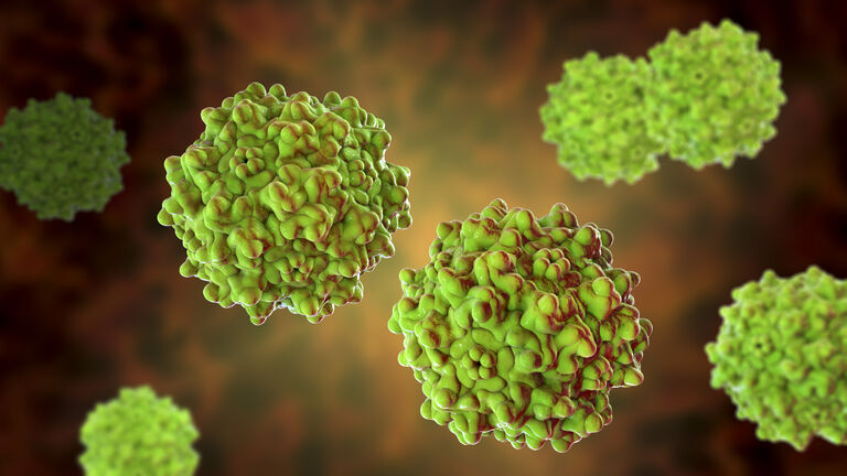 Adeno-associated viruses, illustration