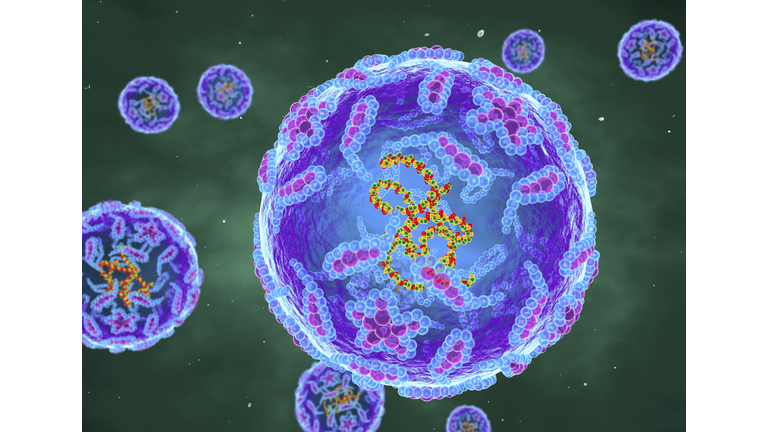 Polio viruses, illustration