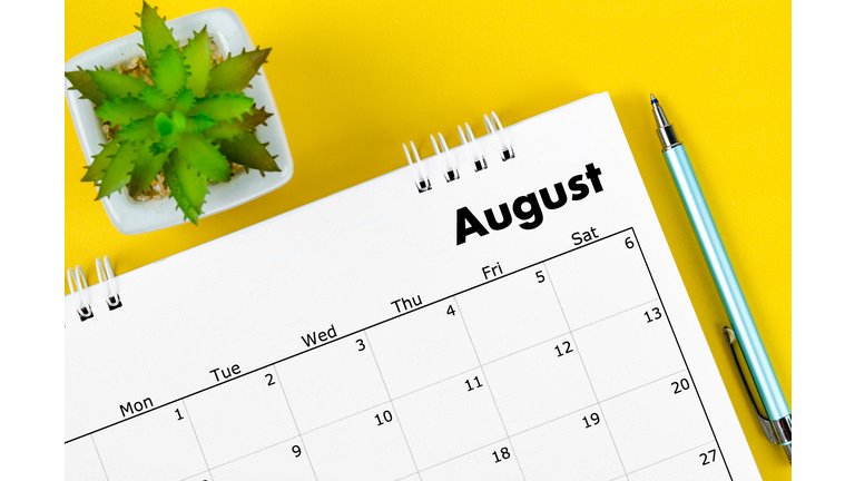 August 2022 desk calendar and pen with plant pot on yellow background.